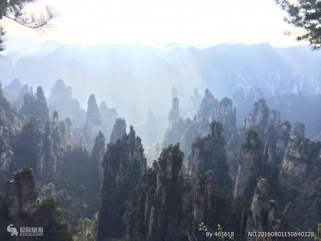 价多少张家界本地旅游团行程不走冤枉路尊龙AG人生就是博张家界旅游团五天报(图2)